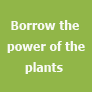 Borrow the power of the plants